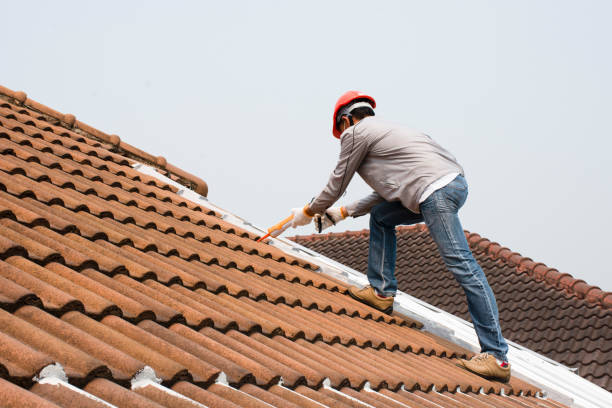 Roof Insulation in Elmwood, LA